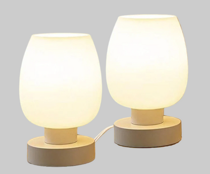Set of 2 Dimmable Frosted Glass Lamps